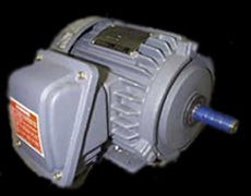 Squirrel Cage Motors