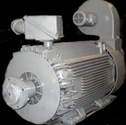 Inverter Duty Motors